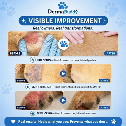 DermaBuddy 2 in 1 Spray [Free Today]