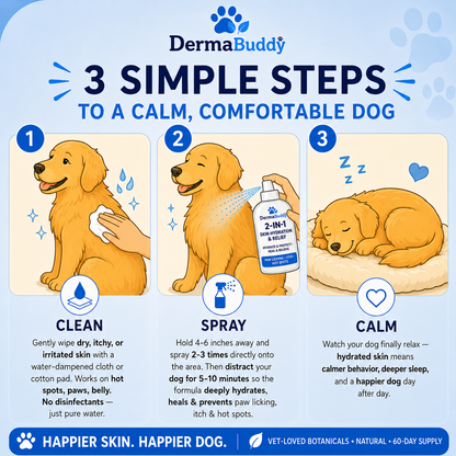 DermaBuddy 2 in 1 Spray [Free Today]