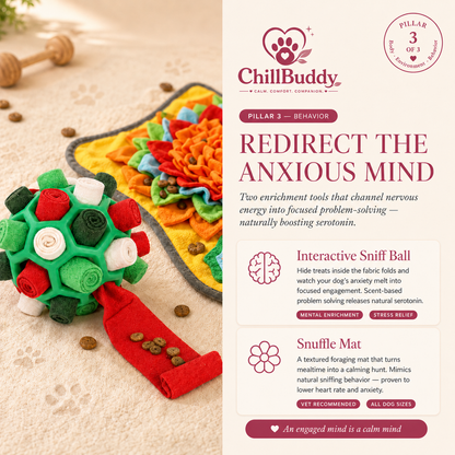 ChillBuddy Kit