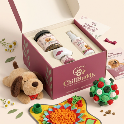 ChillBuddy Kit