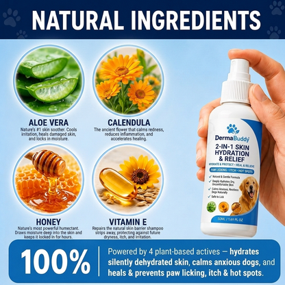 DermaBuddy 2 in 1 Spray [Free Today]